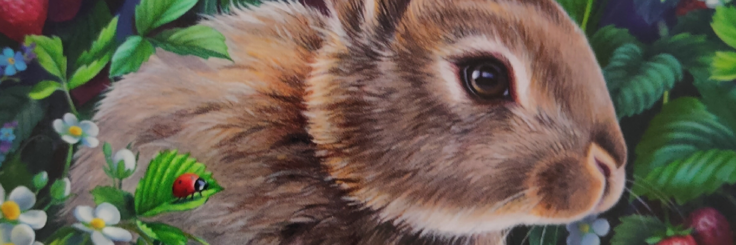 ritawho's profile header