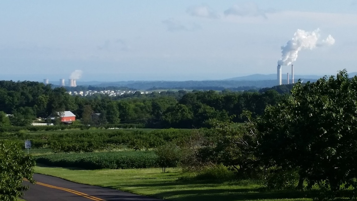 coleoptera's profile header