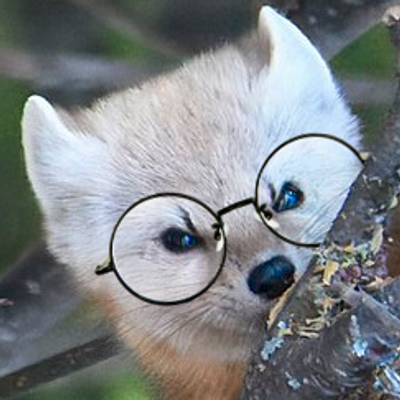 swiftyshq