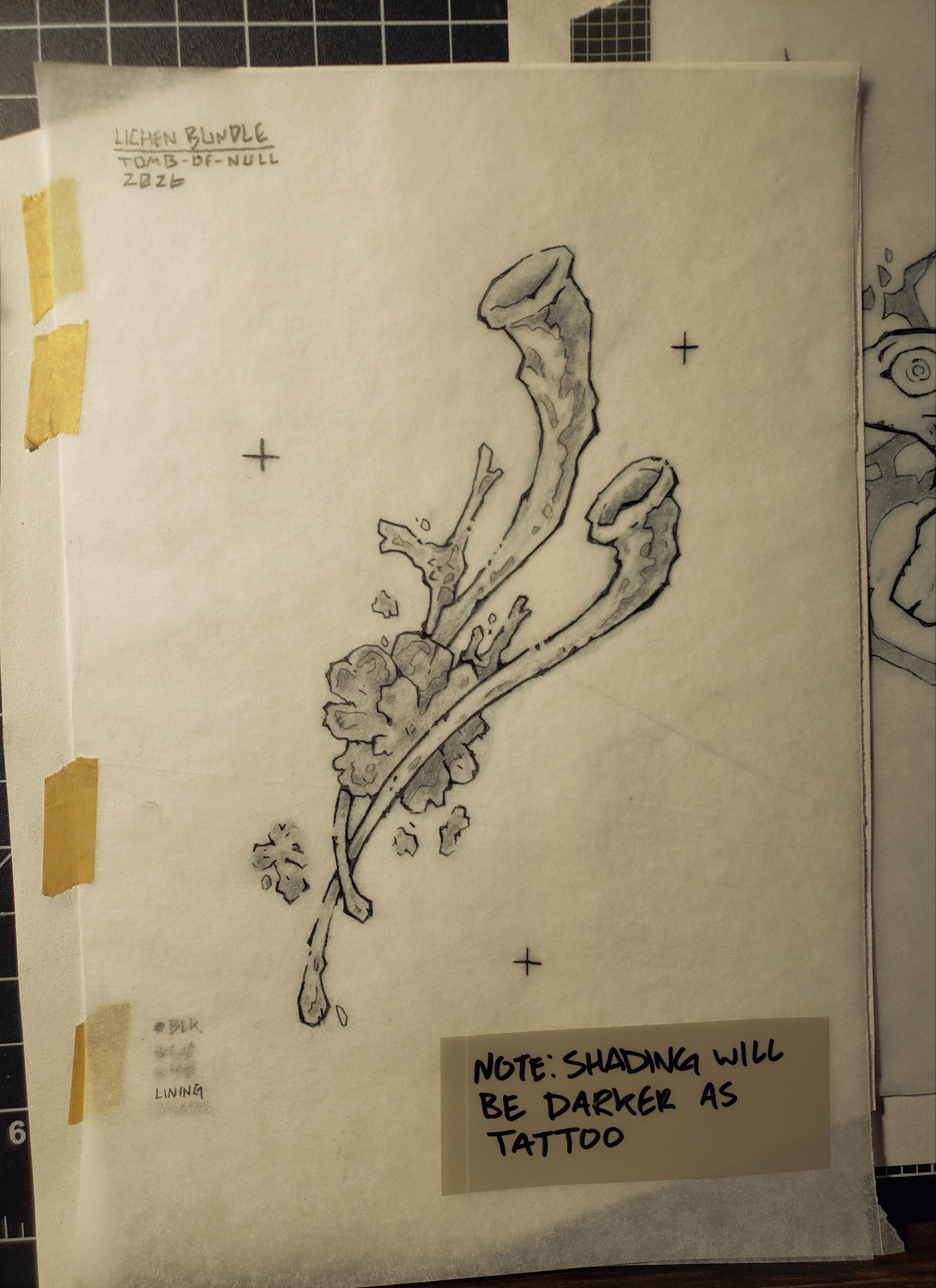 Photo of a drawing of a flowing bundle of lichen. A sticky note reads: Note, shading will be darker as tattoo.