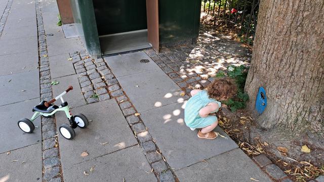 Small child in green dress kneeling to explore a blue door in a tree.