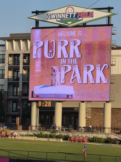 picture of the jumbotron with "Welcome to Purr in the Park" and a picture of a kitten sitting on a base.