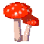 :aMushroomsSpin: