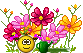 :Garden: