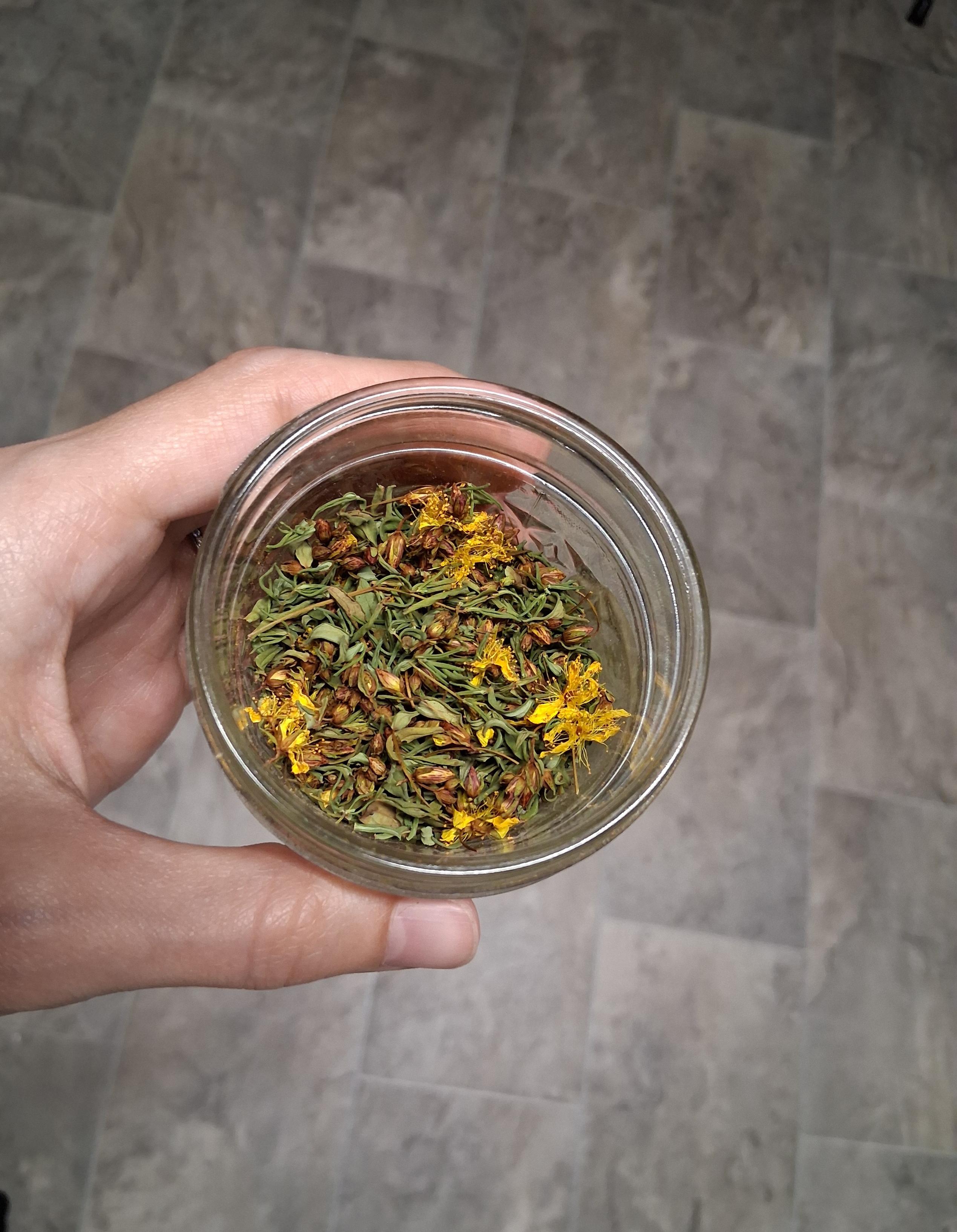 My white guy hand holding a small jar of pretty crushed, dried flowers. The green leaves are interspersed with bright yellow blooms, and buds all speckled in red.