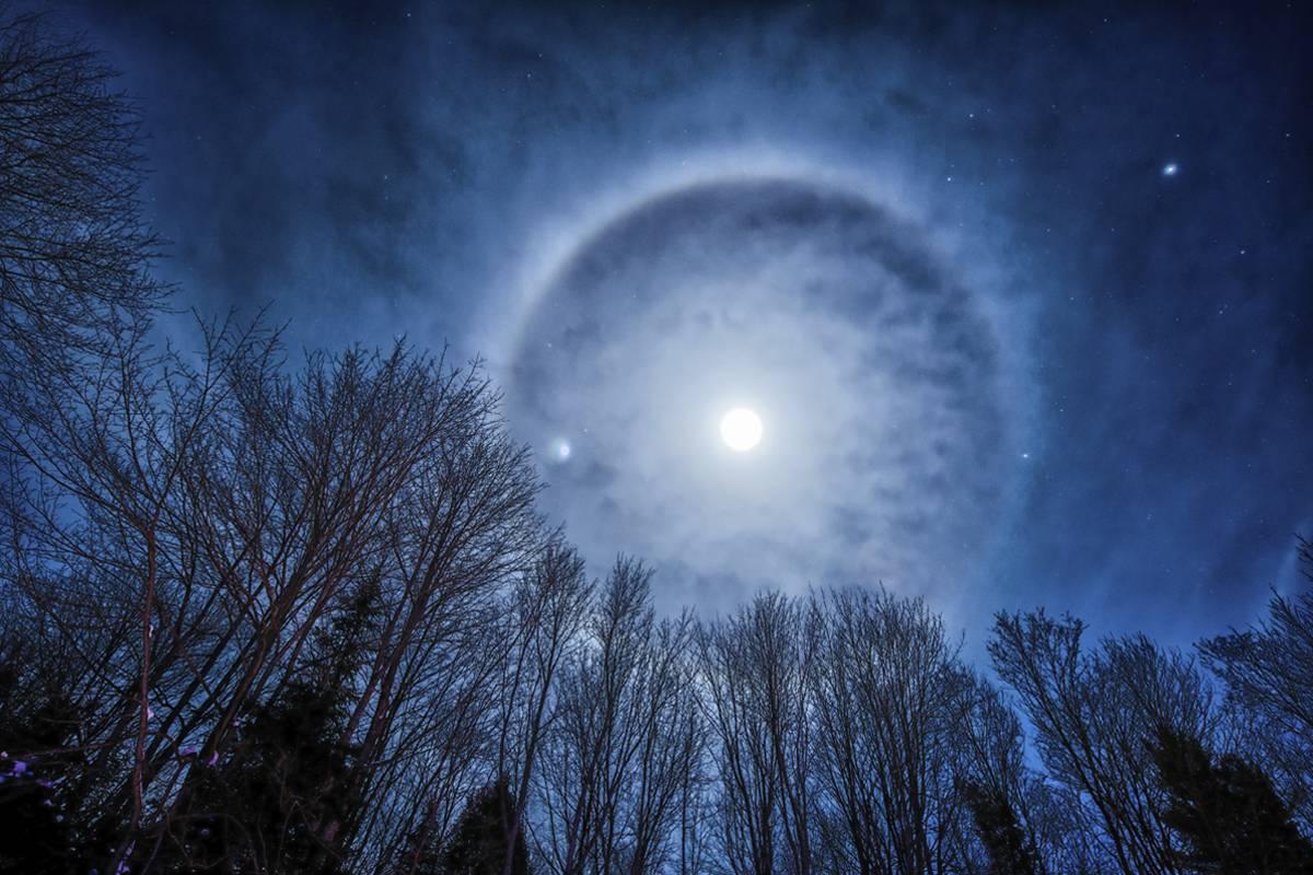 A halo around the moon above winter trees.