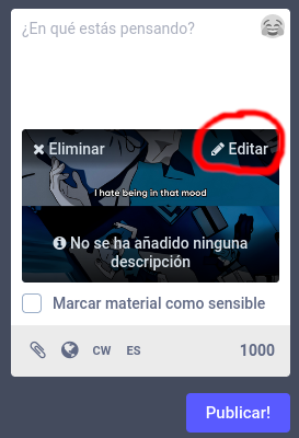 Ejemplo 1 para añadir texto alternativo desde la web. Hay una imagen cargada y el botón de editar está señalado con un círculo rojo.