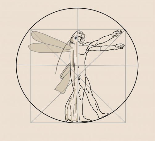 Drawing of a fish juxtaposed with a man in the style of Da Vinci's Vitruvian Man