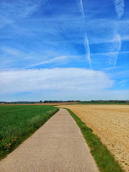 Geschwungene Betonstrecke zwischen Feldern unter blauem Himmel.