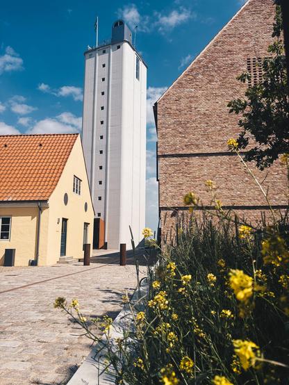 Blomster foran bygninger. I baggrunden en blå himmel.