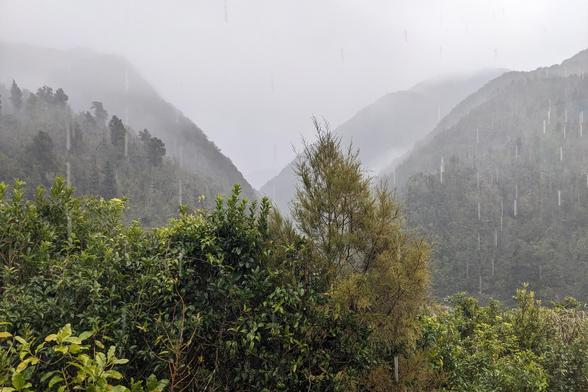 You can see raindrops falling. There is also a forest, and then hills and the valley between the hills behind. It is pretty green...
