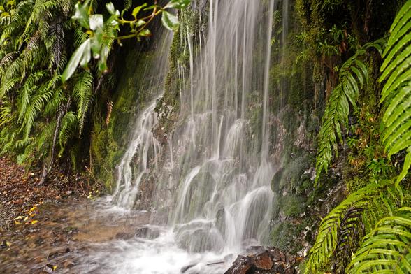 Another long-exposure picture of waterfalls on a cloudy day. The water is mostly white streaks, hitting some rocks at the bottom. The trail is visible at the bottom of the picture, with ferns on each side (again).