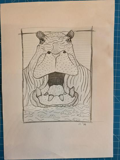 Pencil drawing of an angry hippo, frontal portrait with mouth open and huge teeth showing.