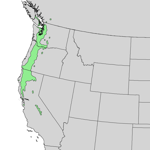 A map of the western half of the USA that shows the range of this species, which runs along the western length of Washington, Oregon, and the northern third of California.