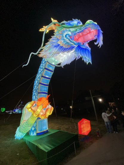 Photo of a 30 foot tall blue and green dragon’s head that is lit from inside its inflated ‘skin’.