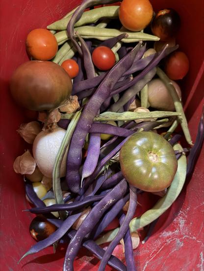 A red bucket with various beans and tomatoes inside.