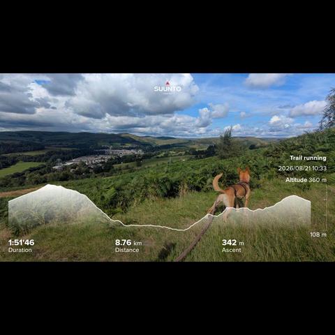 Penny looking into the ferns for something to hunt and I'm looking at the wee town of Langholm and the green rolling hills with fluffy clouds above. My running stats imprinted on top