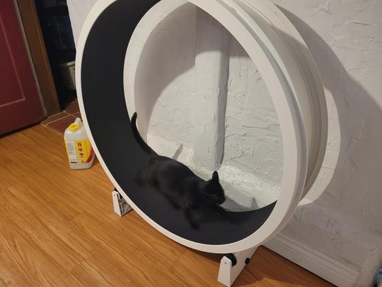 A black cat walking on a wheel. It's a hamster wheel for cats, to allow them to endlessly run.