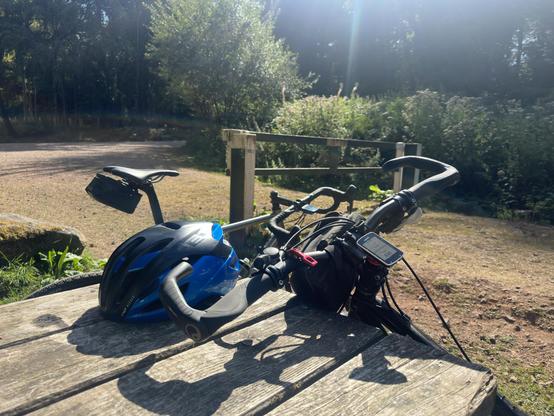 Two bicycles lean against a picnic table in some woods