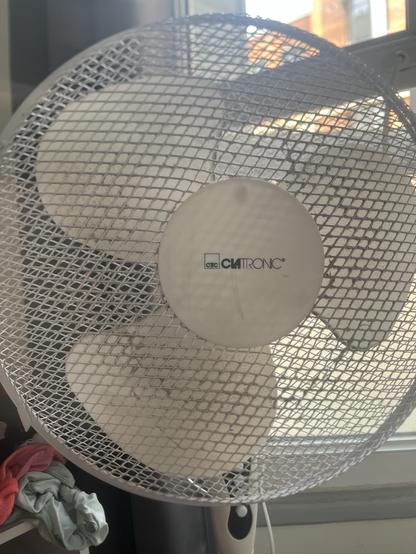 a mildly grody oscillating floor fan. honestly it’s not even that nasty. a normal person would ignore it