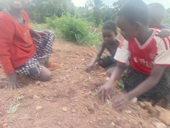 Planting onions by young children.