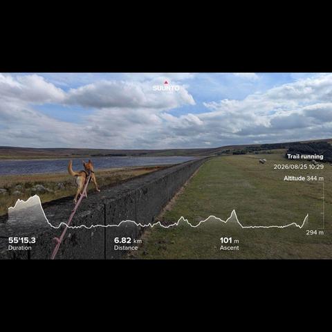 Penny the Podenco on a concrete wall around the reservoir, she is looking for rabbits and pheasants to hunt on the other side the very low reservoir is still being sailed on. Blue cloudy skies above and my running stats imprinted on top