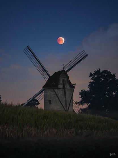 Credit: Julien Looten