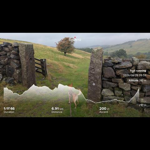A hole, with a missing gate, in a dry stone wall, in the field beyond there's a sole tree, behind there's some low grey clouds (which were turning darker by the minute). Miss MoneyPenny the ginger Podenco is standing in the gap, looking up the slight uphill to the tree, that we were about to run up to and past. My running stats imprinted on top