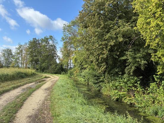 Ein Feldweg entlang eines Gewässers. Der Weg schlängelt sich ein wenig. Links ist hohes Gras und rechts hinter dem Wasser stehen Bäume.