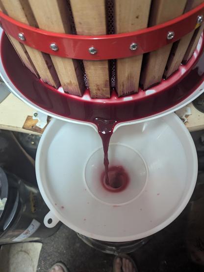Dark red blackberry wine pours from a wine press into a white funnel sticking out of a glass carboy