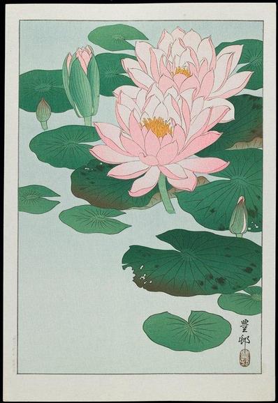 Water #Lily, Ohara Shōson, c. 1928-1930.
#BuddhistArt #Buddhism