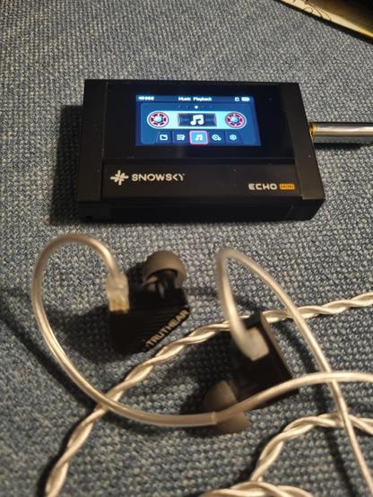 Digital audio player of type Snowsky Echo Mini with in-ear monitors of type Truthear Pure.