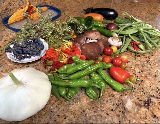 Various veggies: a large patty pan shiitake peppers beans eggplants.