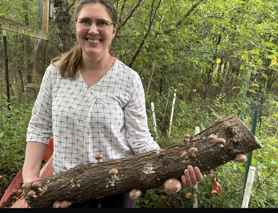 A person in a white billowy shirt holding a 3foot log that has mushrooms peeling out.