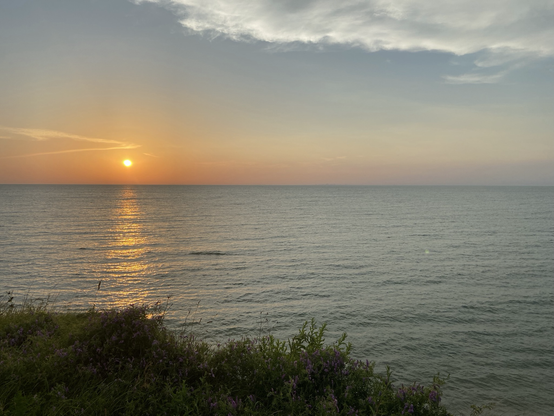 An orange sun going down low over Lake Ontario, with a bright narrow streak reflecting on the waters, and a bit of brush visible in silhouette in the foreground