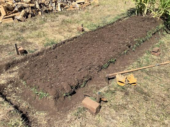 An unplanted one by five meter garden bed with a little bit of corn in the back.