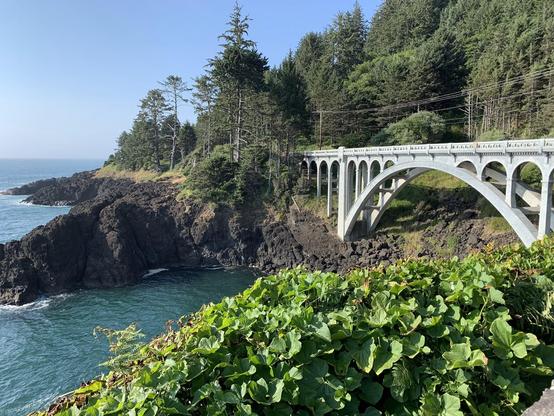 A coastal bridge with wonderful arches gleams white among the Oregon greenery.