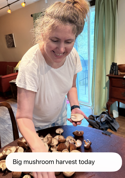 Me super happy with a ton of mushrooms on my dining table.