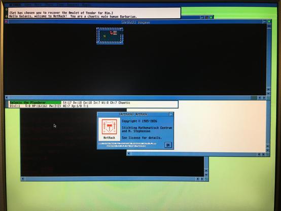 screen photo, Nethack main UI