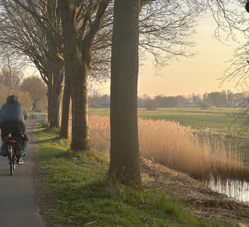 Bike path next to farm and meadow polders just north of Utrecht, Netherlands.