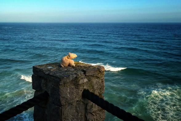 Ein kleiner Stoffbär sitzt auf einem Pfeiler und blickt auf den Atlantik hinaus.