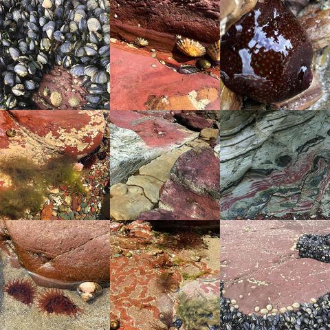 collection of 9 foto's showing greys, browns, reds, greens, beige