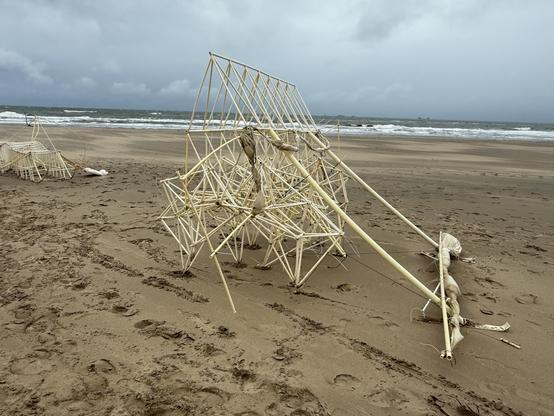 Strandbeests at rest