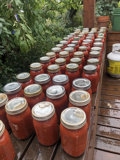 sixty one-litre jars of salsa on my deck.
