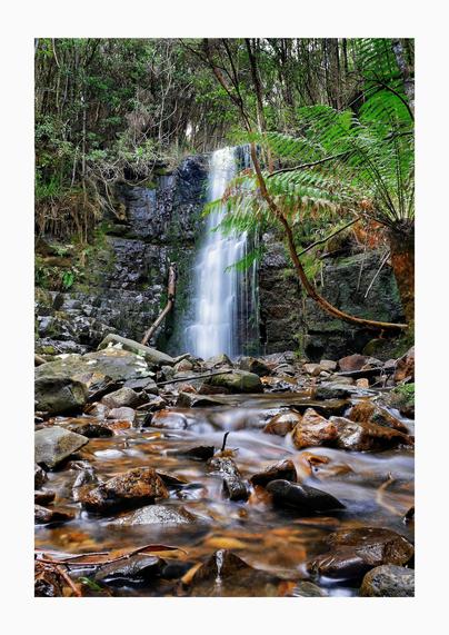 A portrait oriented long exposure of a short, narrow waterfall, the water motion both in the falls and in the foreground rocky stream blurred, emphasizing the motion. There is a fern to the right of the stream, and thin trees above the falls.