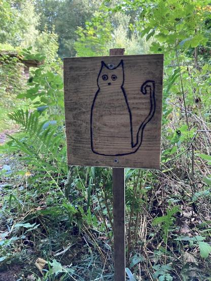 Et træskilt med en tegnet kat. Skiltet står i skov.