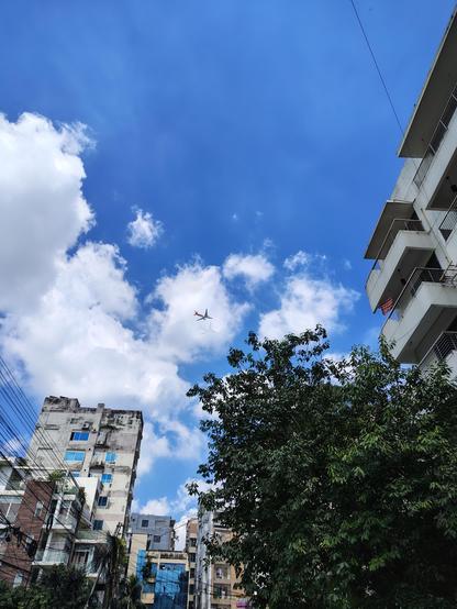 Photo showing blue sky, an aeroplane, some buildings and a tree