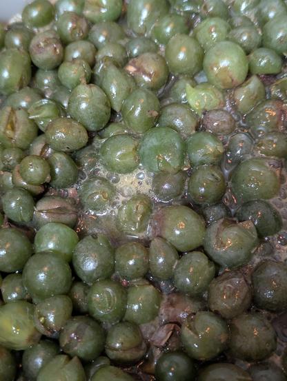 Destemmed Moscato grapes waiting to be pressed for juice. They're obviously already fermenting.
