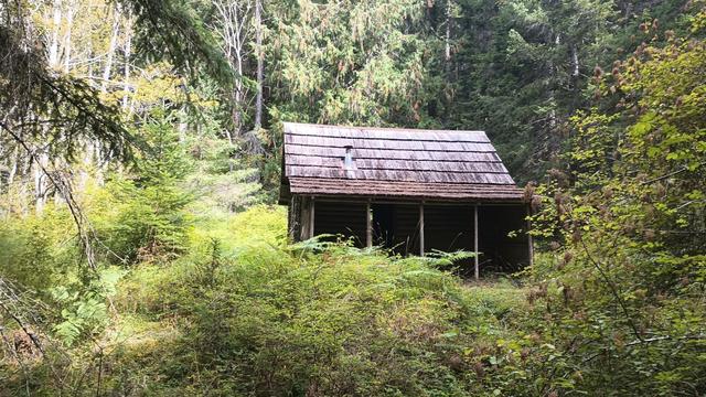 A cedar shake roof on the back of a log cabin set in a small clearing in dense forest.