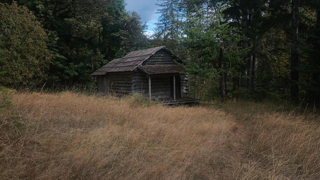 Early morning light on dry grass surrounding a small log cabin with cedar roof. The front porch has two poles supporting a little roof over the front door.